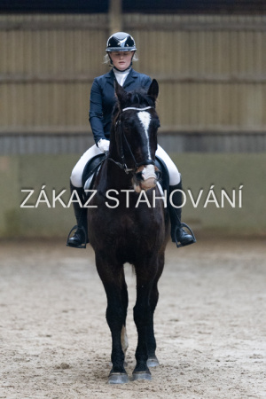 ZH1 hobby (1107).JPG