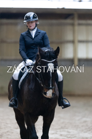 ZH1 hobby (1108).JPG