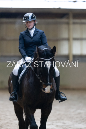 ZH1 hobby (1109).JPG