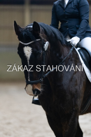 ZH1 hobby (1110).JPG