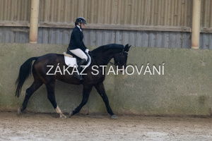 ZH1 hobby (1111).JPG