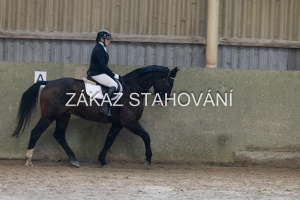 ZH1 hobby (1112).JPG