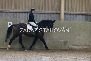 ZH1 hobby (1113).JPG