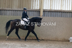 ZH1 hobby (1114).JPG