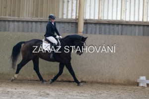 ZH1 hobby (1115).JPG