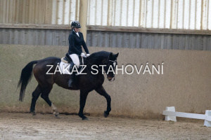 ZH1 hobby (1116).JPG