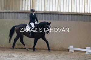 ZH1 hobby (1117).JPG