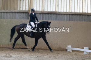 ZH1 hobby (1118).JPG