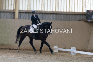 ZH1 hobby (1119).JPG