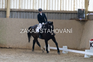 ZH1 hobby (1120).JPG