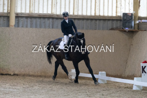 ZH1 hobby (1121).JPG