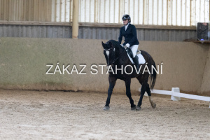 ZH1 hobby (1122).JPG