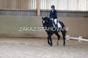 ZH1 hobby (1123).JPG