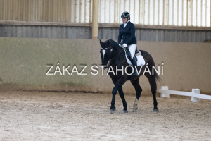 ZH1 hobby (1124).JPG