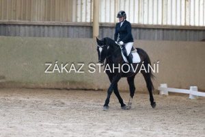 ZH1 hobby (1125).JPG