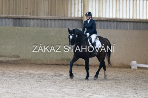 ZH1 hobby (1126).JPG