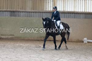 ZH1 hobby (1127).JPG