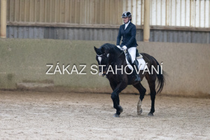 ZH1 hobby (1129).JPG