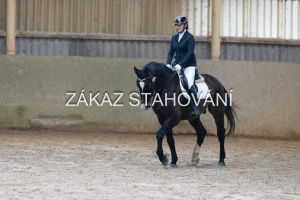 ZH1 hobby (1130).JPG