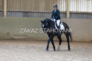 ZH1 hobby (1131).JPG