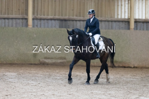 ZH1 hobby (1132).JPG