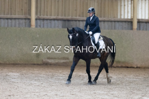 ZH1 hobby (1133).JPG