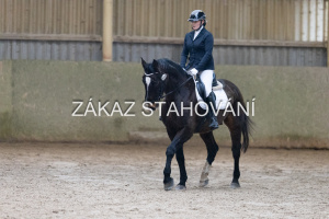 ZH1 hobby (1134).JPG