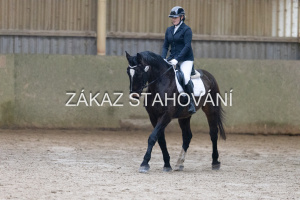 ZH1 hobby (1135).JPG