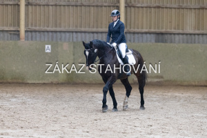 ZH1 hobby (1136).JPG