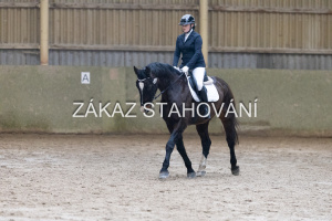 ZH1 hobby (1137).JPG