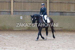 ZH1 hobby (1138).JPG