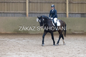 ZH1 hobby (1139).JPG