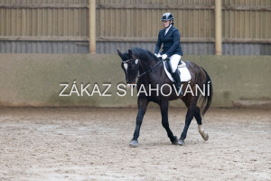 ZH1 hobby (1140).JPG