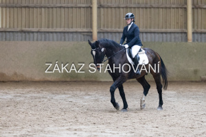 ZH1 hobby (1141).JPG