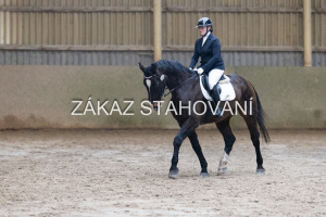 ZH1 hobby (1142).JPG