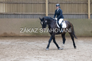 ZH1 hobby (1143).JPG