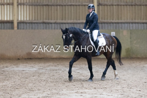 ZH1 hobby (1144).JPG