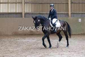 ZH1 hobby (1146).JPG