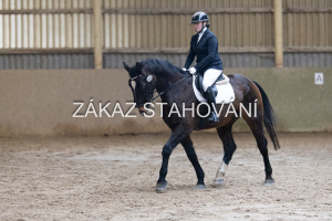 ZH1 hobby (1147).JPG