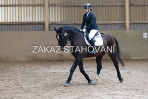 ZH1 hobby (1148).JPG