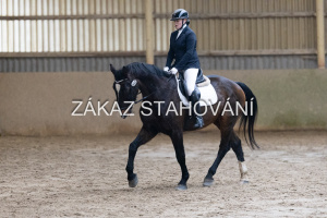 ZH1 hobby (1149).JPG