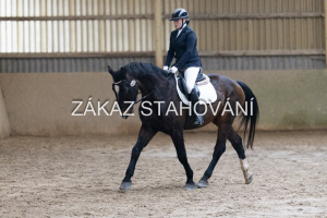 ZH1 hobby (1150).JPG