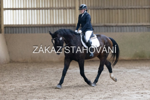 ZH1 hobby (1151).JPG