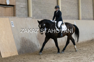 ZH1 hobby (1152).JPG