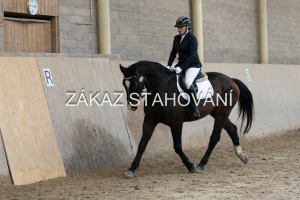 ZH1 hobby (1153).JPG