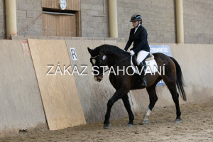 ZH1 hobby (1154).JPG