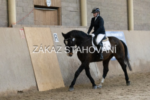 ZH1 hobby (1155).JPG