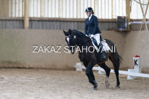 ZH1 hobby (1156).JPG