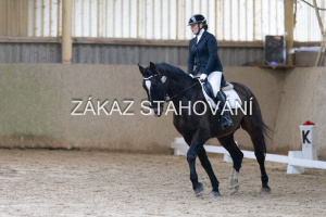 ZH1 hobby (1157).JPG