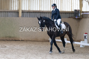 ZH1 hobby (1158).JPG